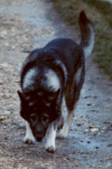 Mick Clarke - Homework